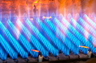 Hornestreet gas fired boilers